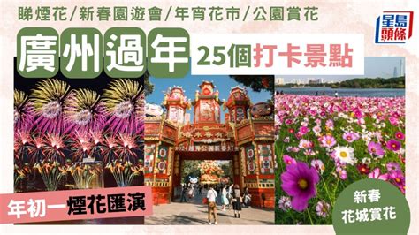 煙花風水|2024煙花風水必看攻略